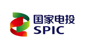 國家電投